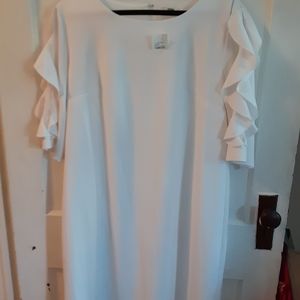 Cato size 16 white knee-length dress